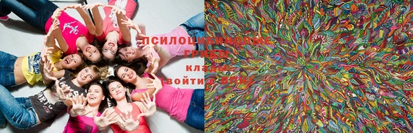 кокс Карталы