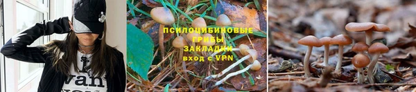 кокс Карталы