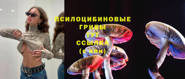 кристаллы Карпинск