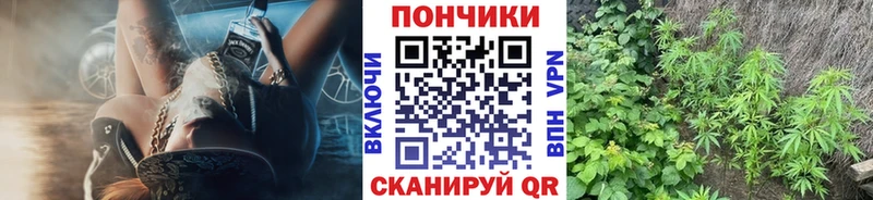 Купить закладки  Псков  Бошки марихуана ГИДРОПОН 